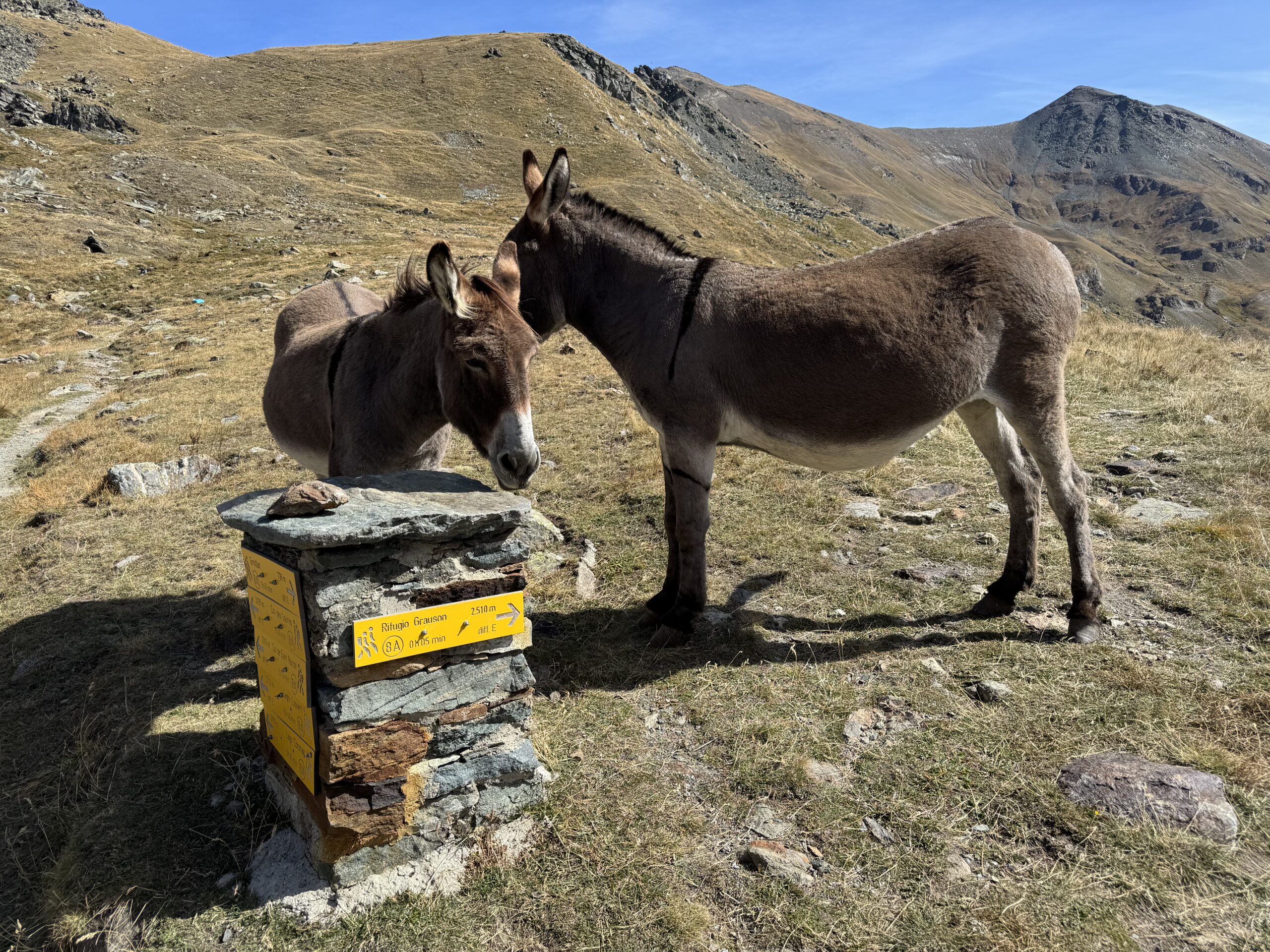 Von Gimillian nach Laghi di Lussert